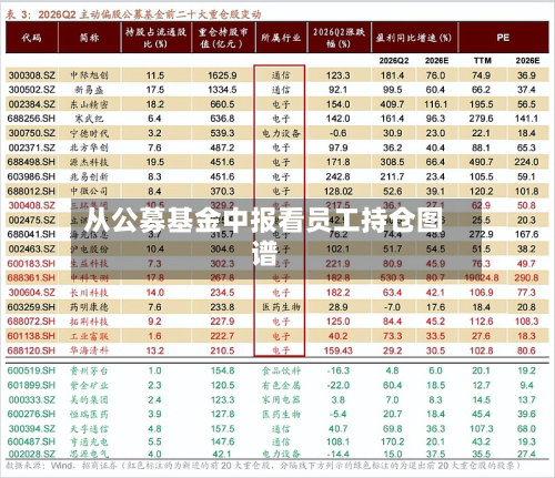从公募基金中报看员工持仓图谱-第2张图片