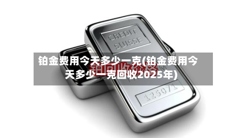 铂金费用今天多少一克(铂金费用今天多少一克回收2025年)