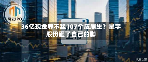 36亿现金养不起107个应届生?星宇股份砸了自己的脚-第2张图片