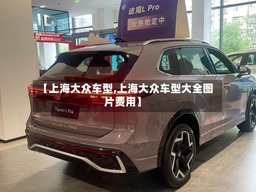 【上海大众车型,上海大众车型大全图片费用】