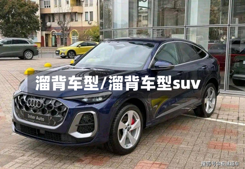 溜背车型/溜背车型suv-第3张图片
