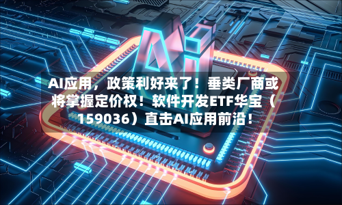 AI应用	，政策利好来了！垂类厂商或将掌握定价权！软件开发ETF华宝（159036）直击AI应用前沿！-第2张图片