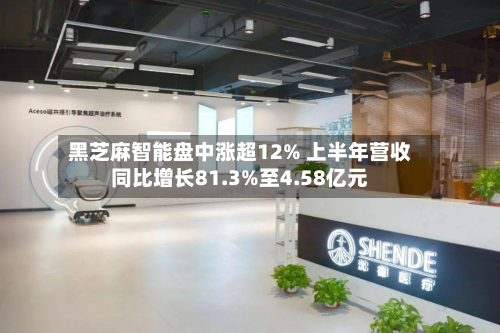 黑芝麻智能盘中涨超12% 上半年营收同比增长81.3%至4.58亿元-第1张图片