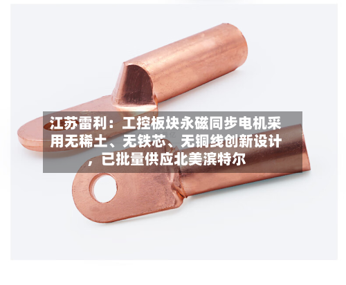 江苏雷利：工控板块永磁同步电机采用无稀土、无铁芯、无铜线创新设计，已批量供应北美滨特尔