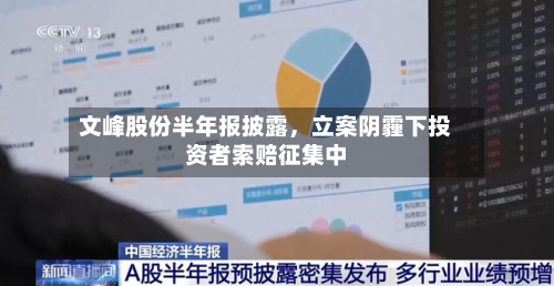 文峰股份半年报披露，立案阴霾下投资者索赔征集中-第3张图片