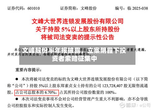 文峰股份半年报披露，立案阴霾下投资者索赔征集中-第2张图片