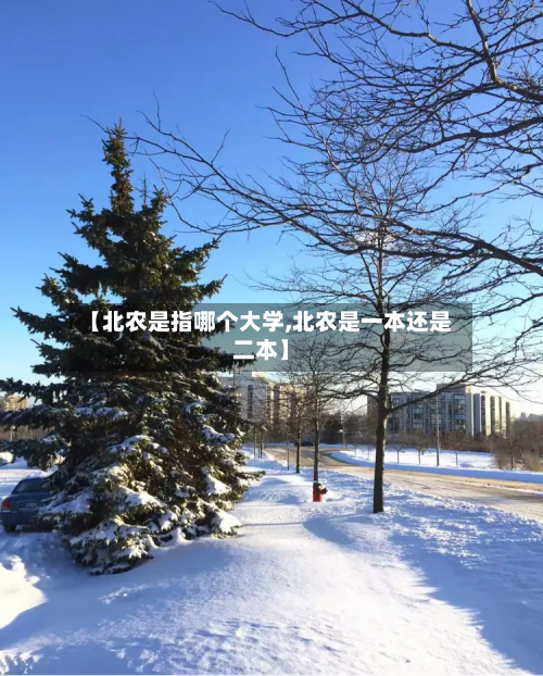 【北农是指哪个大学,北农是一本还是二本】-第3张图片