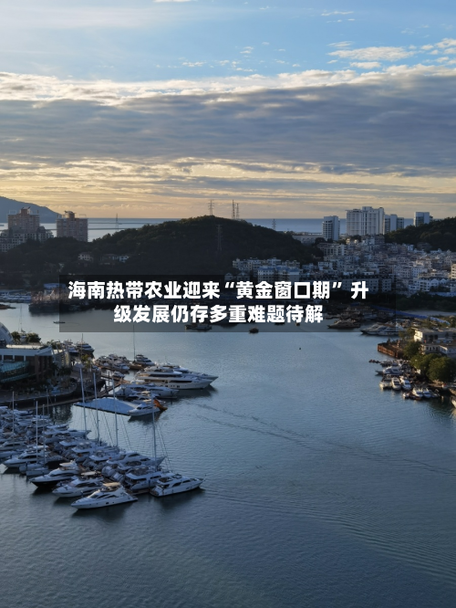 海南热带农业迎来“黄金窗口期” 升级发展仍存多重难题待解-第2张图片