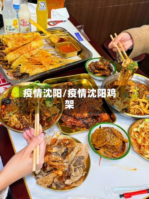 疫情沈阳/疫情沈阳鸡架