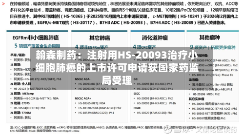 翰森制药：注射用HS-20093治疗小细胞肺癌的上市许可申请获国家药监局受理-第1张图片