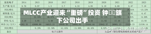 MLCC产业迎来“重磅	”投资 钟睒睒旗下公司出手-第2张图片
