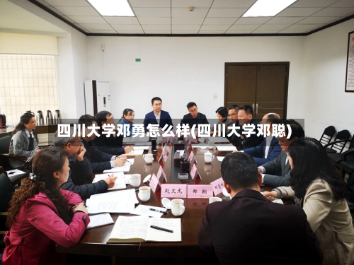 四川大学邓勇怎么样(四川大学邓聪)