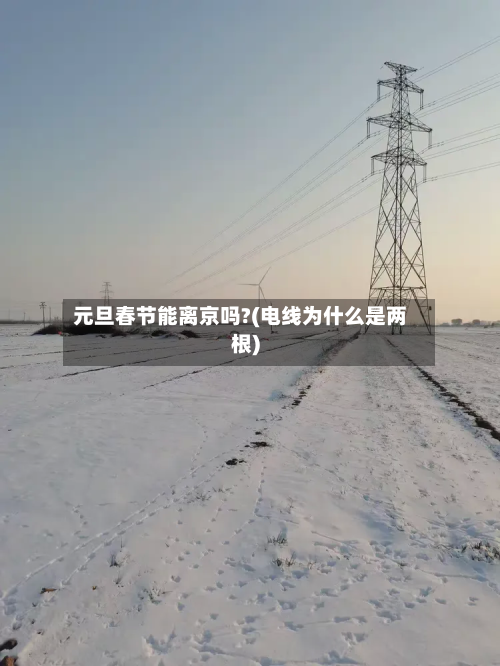 元旦春节能离京吗?(电线为什么是两根)-第2张图片