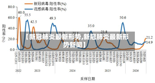 【新冠肺炎最新形势,新冠肺炎最新形势新闻】-第2张图片