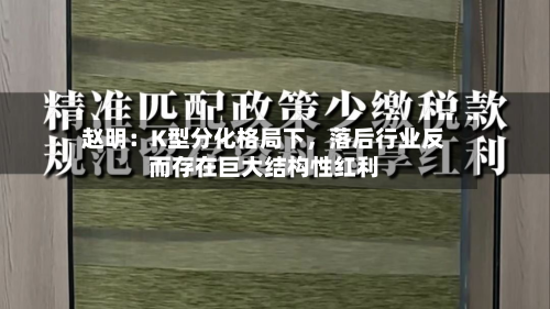 赵明：K型分化格局下，落后行业反而存在巨大结构性红利-第2张图片