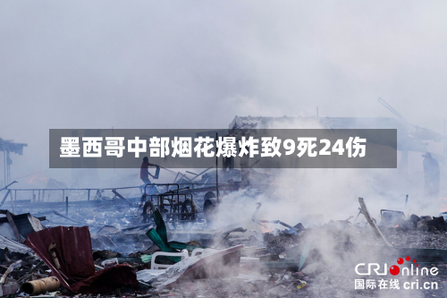 墨西哥中部烟花爆炸致9死24伤-第3张图片