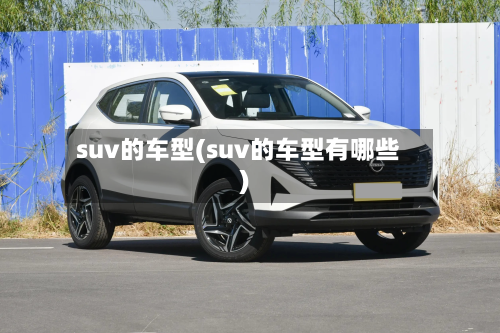 suv的车型(suv的车型有哪些)-第2张图片