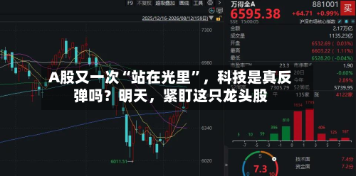 A股又一次“站在光里”，科技是真反弹吗？明天，紧盯这只龙头股