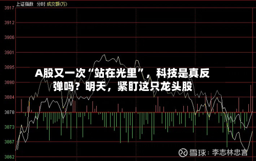 A股又一次“站在光里	”，科技是真反弹吗？明天	，紧盯这只龙头股-第2张图片