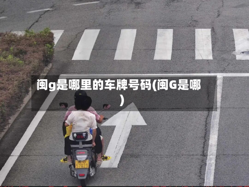 闽g是哪里的车牌号码(闽G是哪)-第3张图片