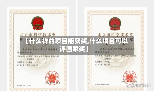 【什么样的项目能获奖,什么项目可以评国家奖】
