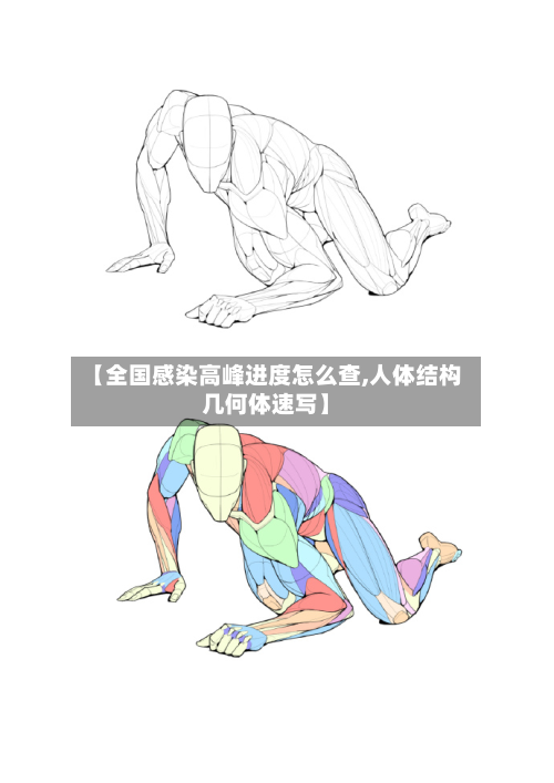 【全国感染高峰进度怎么查,人体结构几何体速写】