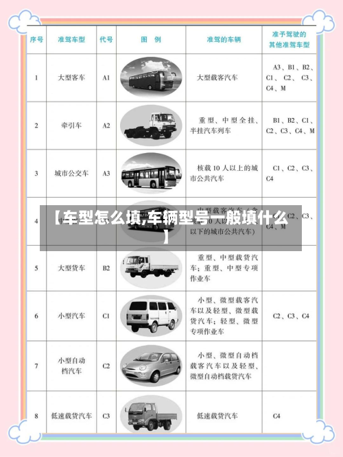 【车型怎么填,车辆型号一般填什么】