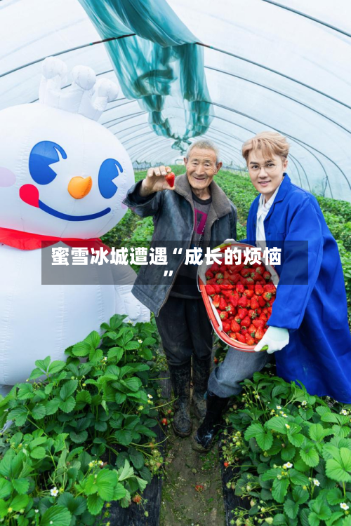 蜜雪冰城遭遇“成长的烦恼”