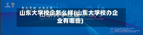 山东大学校企怎么样(山东大学校办企业有哪些)
