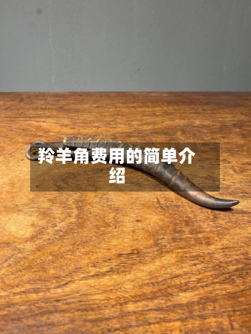 羚羊角费用的简单介绍-第3张图片