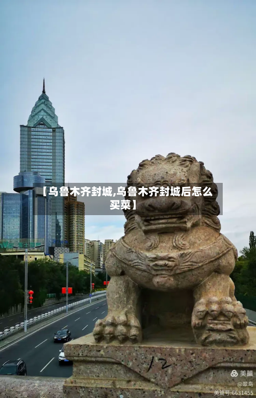 【乌鲁木齐封城,乌鲁木齐封城后怎么买菜】-第2张图片