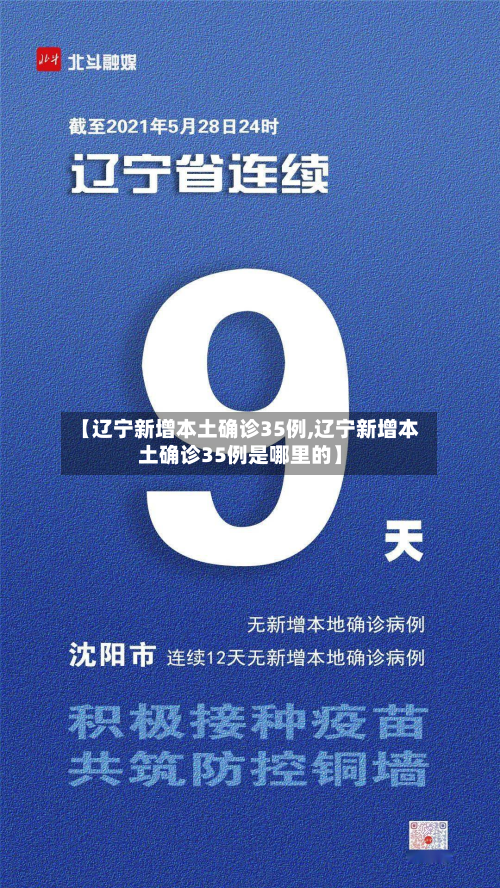 【辽宁新增本土确诊35例,辽宁新增本土确诊35例是哪里的】-第3张图片