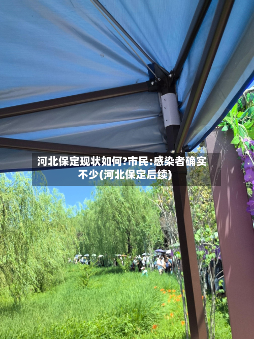 河北保定现状如何?市民:感染者确实不少(河北保定后续)-第2张图片