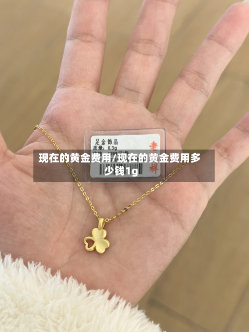 现在的黄金费用/现在的黄金费用多少钱1g