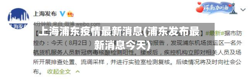 上海浦东疫情最新消息(浦东发布最新消息今天)-第3张图片