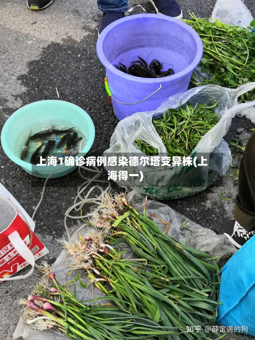 上海1确诊病例感染德尔塔变异株(上海得一)-第2张图片