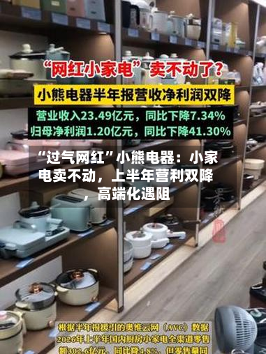 “过气网红”小熊电器：小家电卖不动，上半年营利双降，高端化遇阻-第2张图片