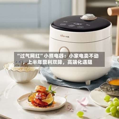 “过气网红”小熊电器：小家电卖不动，上半年营利双降，高端化遇阻-第3张图片