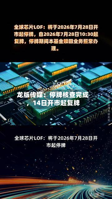 龙版传媒：停牌核查完成	，14日开市起复牌-第3张图片