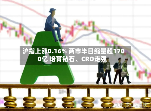 沪指上涨0.16% 两市半日缩量超1700亿 培育钻石	、CRO走强-第2张图片