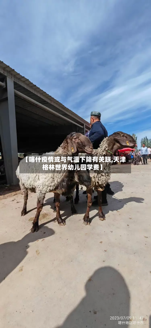 【喀什疫情或与气温下降有关联,天津格林世界幼儿园学费】-第2张图片