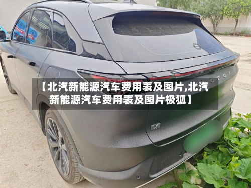 【北汽新能源汽车费用表及图片,北汽新能源汽车费用表及图片极狐】