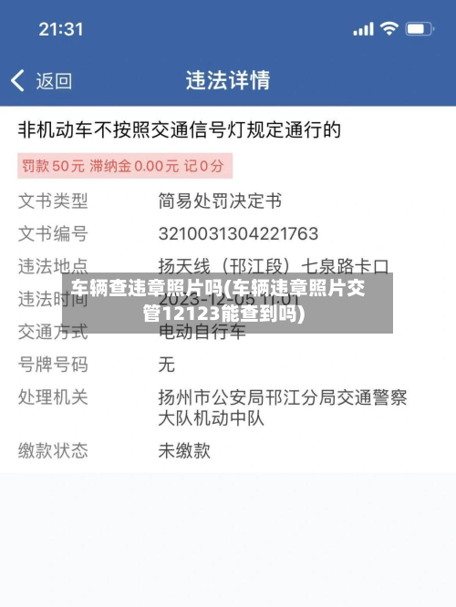 车辆查违章照片吗(车辆违章照片交管12123能查到吗)-第2张图片
