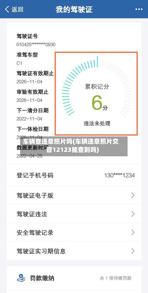 车辆查违章照片吗(车辆违章照片交管12123能查到吗)