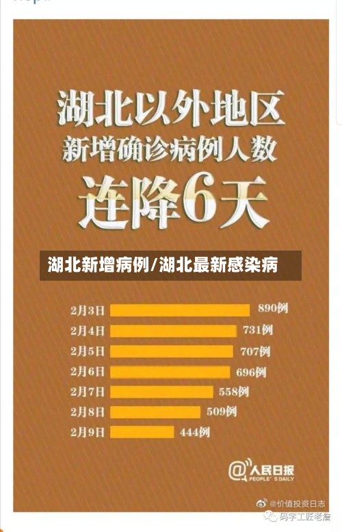 湖北新增病例/湖北最新感染病