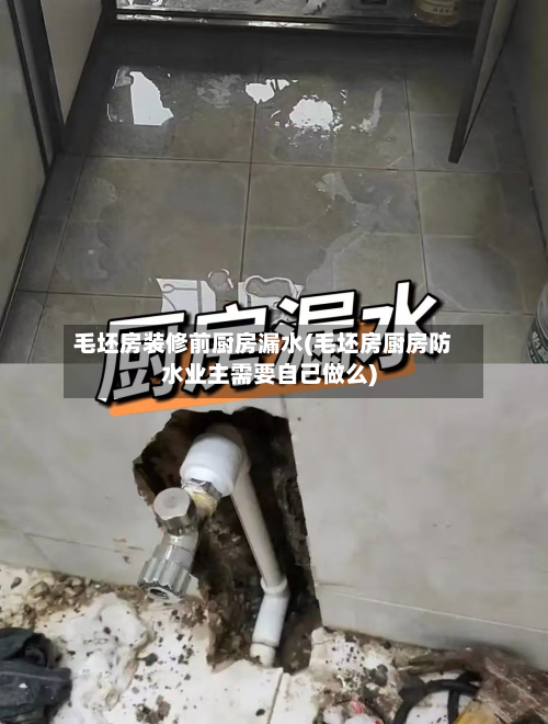 毛坯房装修前厨房漏水(毛坯房厨房防水业主需要自己做么)-第3张图片