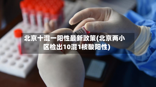 北京十混一阳性最新政策(北京两小区检出10混1核酸阳性)-第2张图片