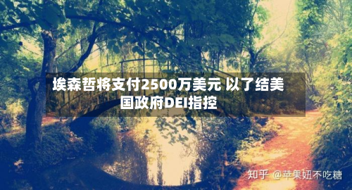埃森哲将支付2500万美元 以了结美国政府DEI指控-第2张图片