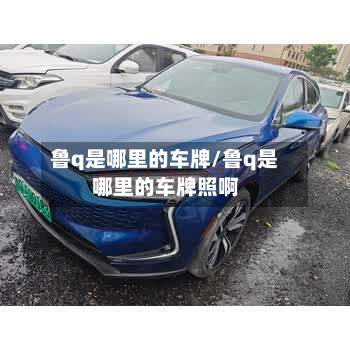 鲁q是哪里的车牌/鲁q是哪里的车牌照啊-第2张图片