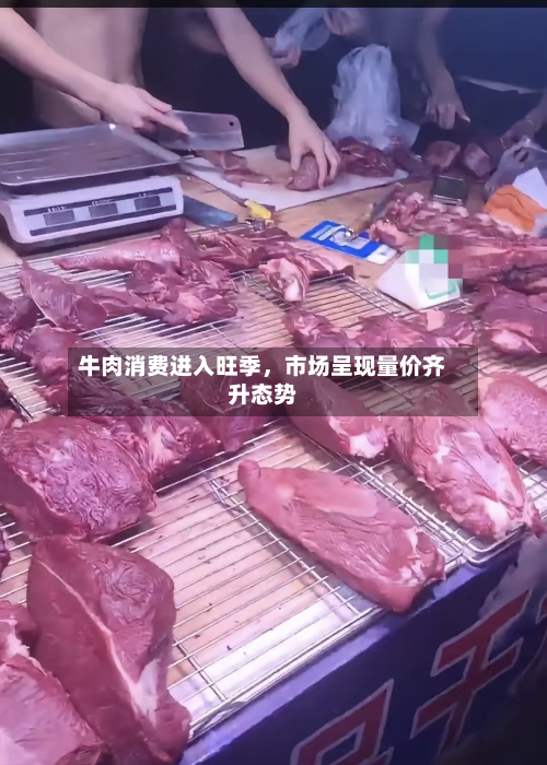 牛肉消费进入旺季，市场呈现量价齐升态势
